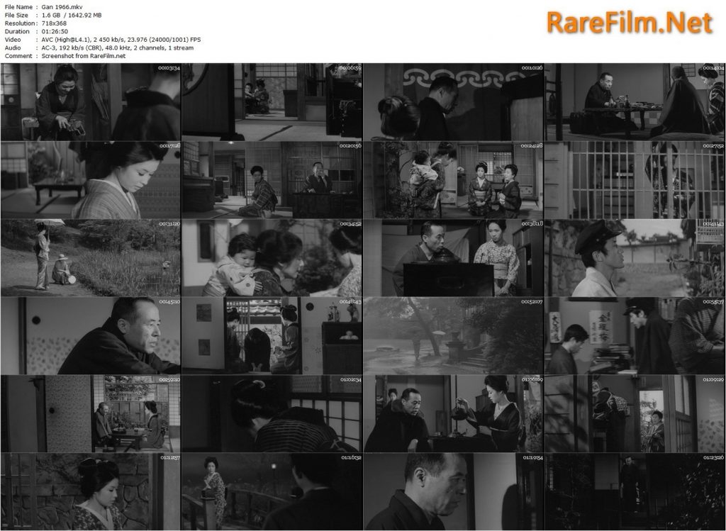 Wild Geese (1966) - Kazuo Ikehiro