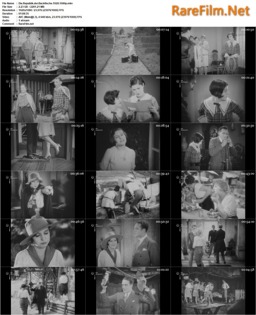 Teenagers' Republic (1928) - Constantin J. David