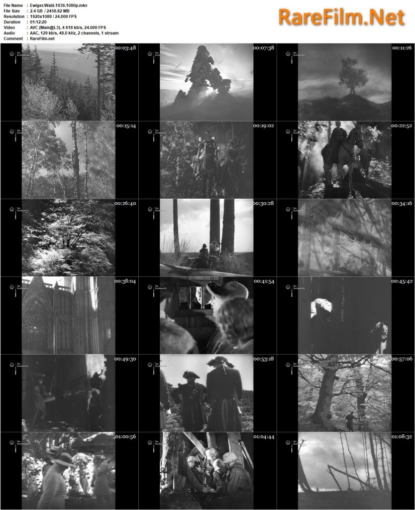 Enchanted Forest (1936) - Hanns Springer