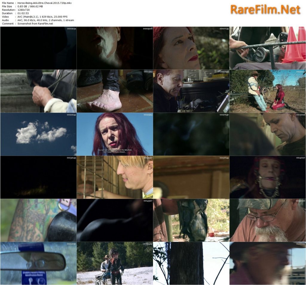 Horse Being (2015) - Jérôme Clément-Wilz