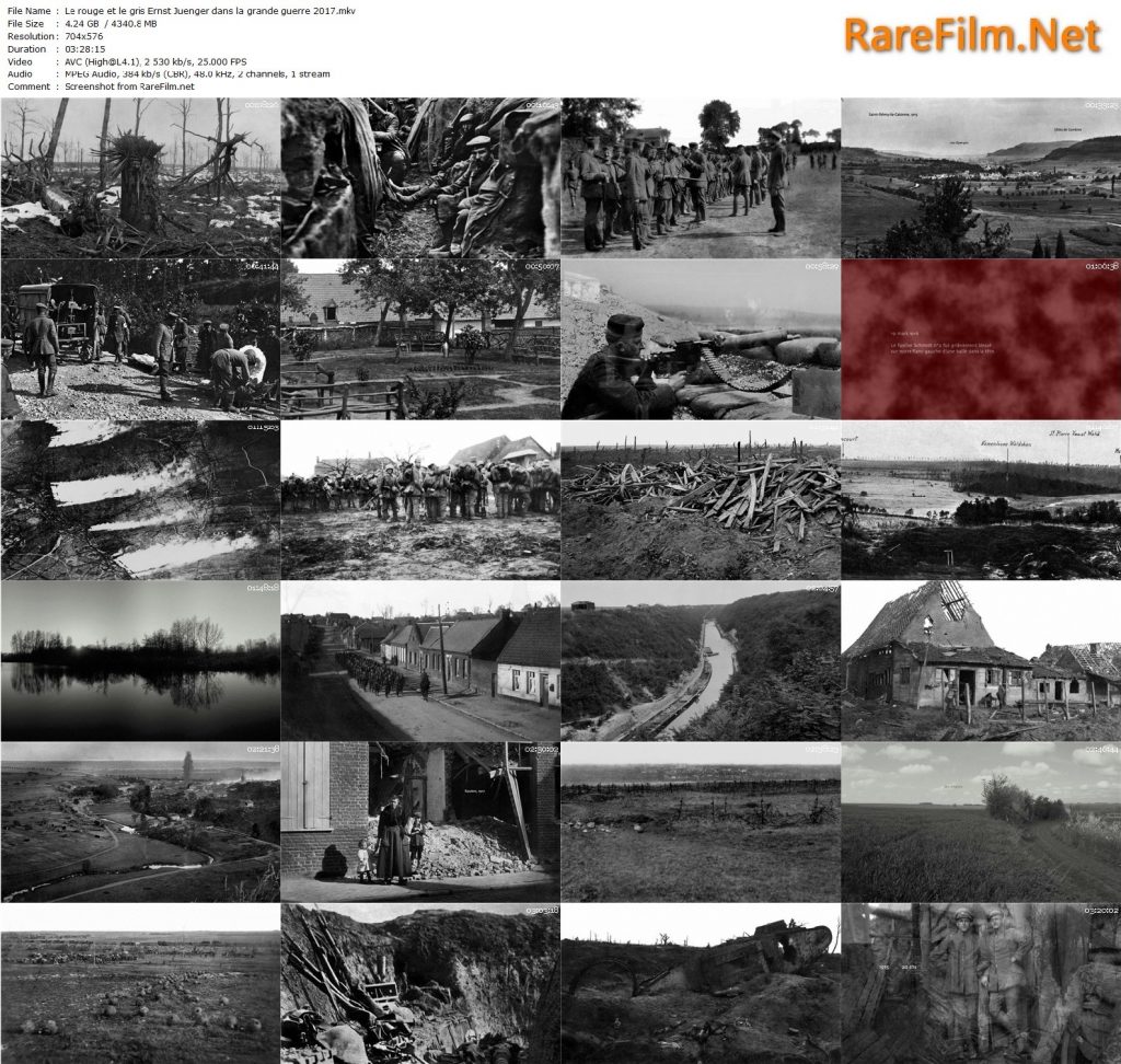 Le rouge et le gris, Ernst Jünger dans la grande guerre (2017) - François Lagarde