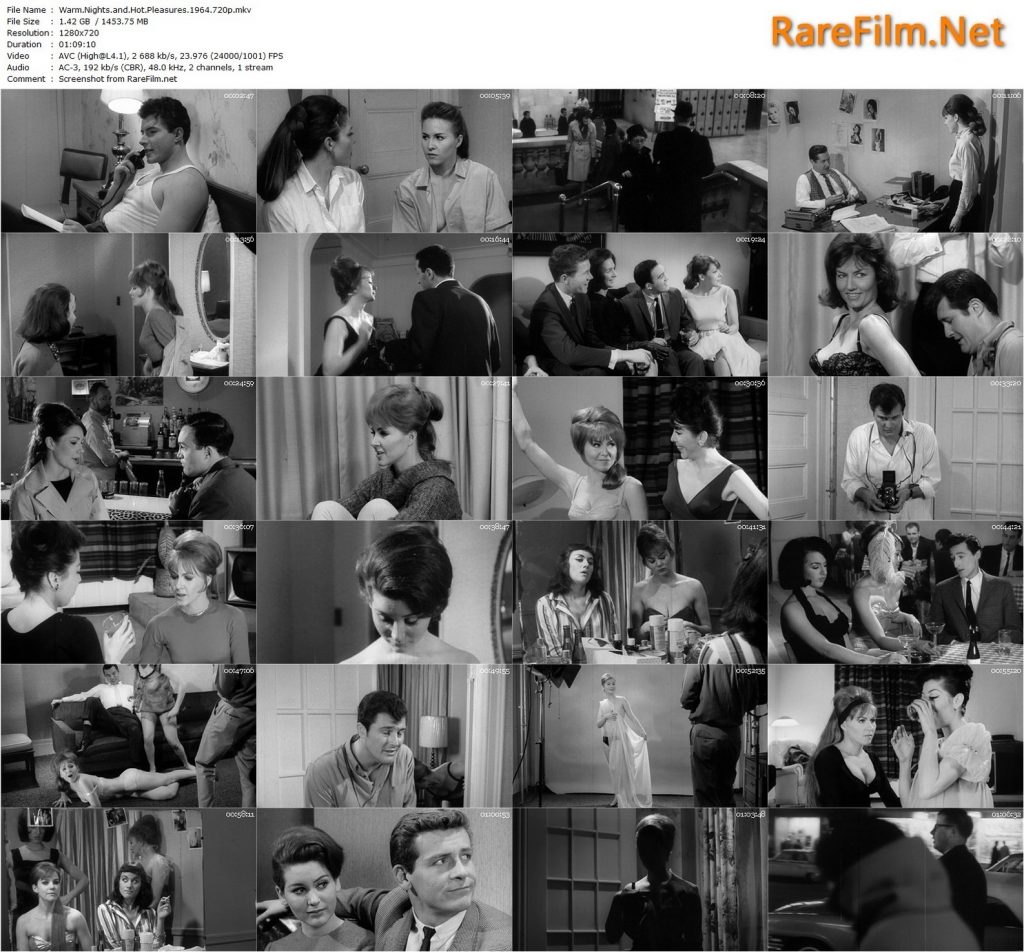 Warm Nights and Hot Pleasures (1964) - Joseph W. Sarno