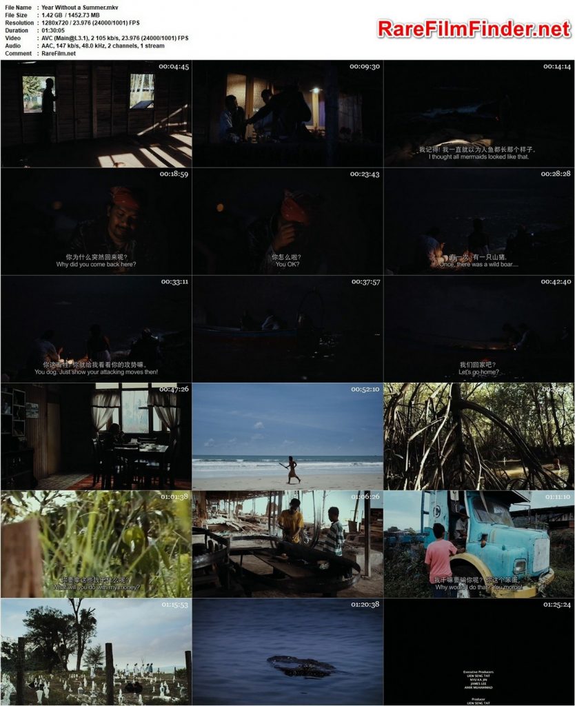 Year Without a Summer (2010)